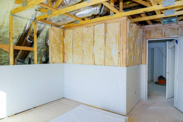Best Insulation Replacement Services  in Virden, IL