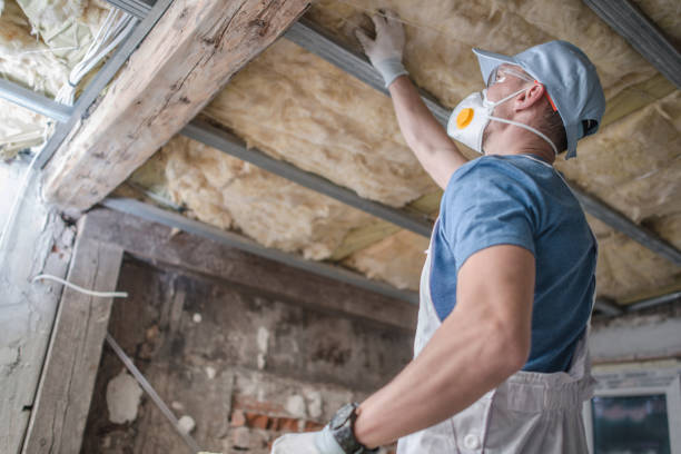 Best Affordable Insulation Services  in Virden, IL