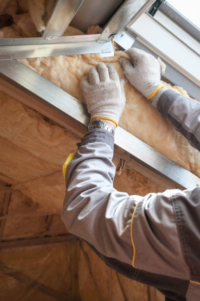 Best Insulation for New Construction  in Virden, IL