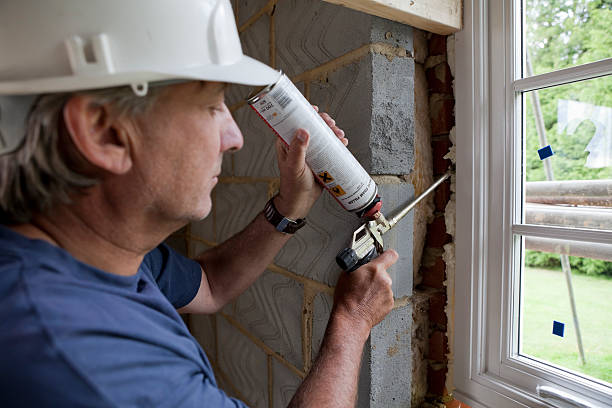 Best Insulation Repair Services  in Virden, IL